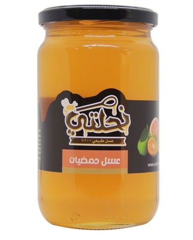 Nahlaty Citrus Honey 1 kg
