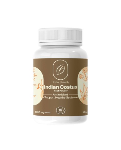 Indian Costus 500mg 60cap Herbal Dynasty القسط الهندي هيربال ديناستي