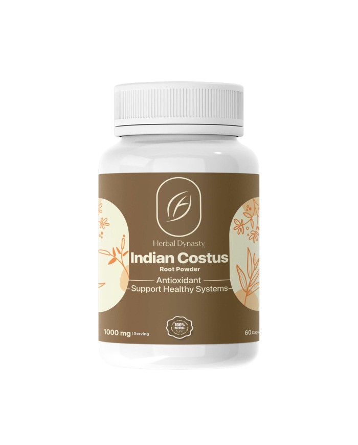 Indian Costus 500mg 60cap Herbal Dynasty