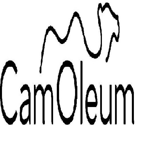 CamOleum